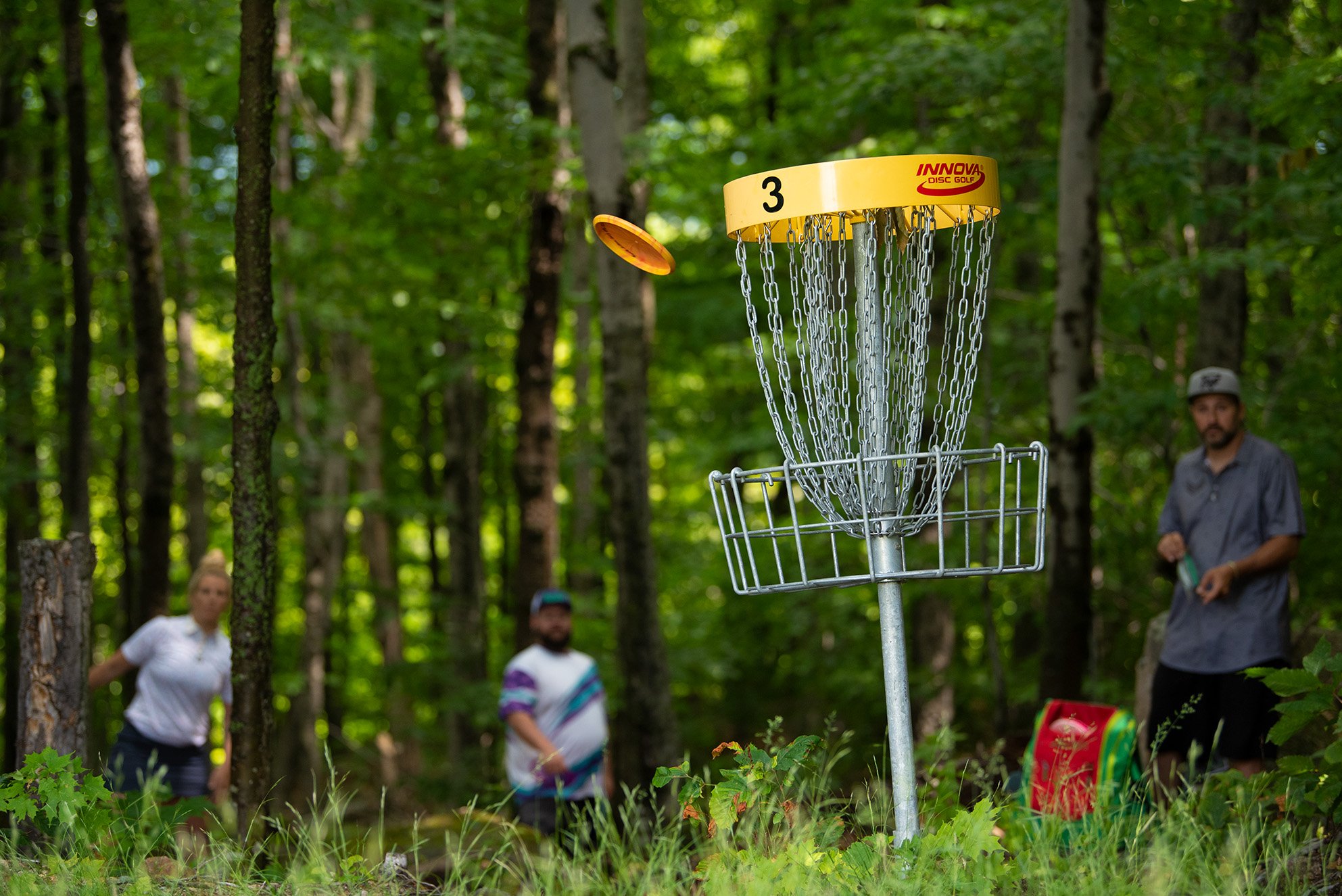 Disc+Golf